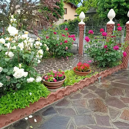 Panzió Lily - Storie Del Bosco - *