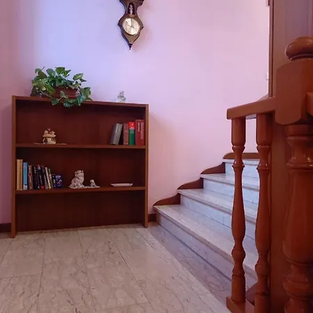 Lily - Storie Del Bosco - Couette-café *